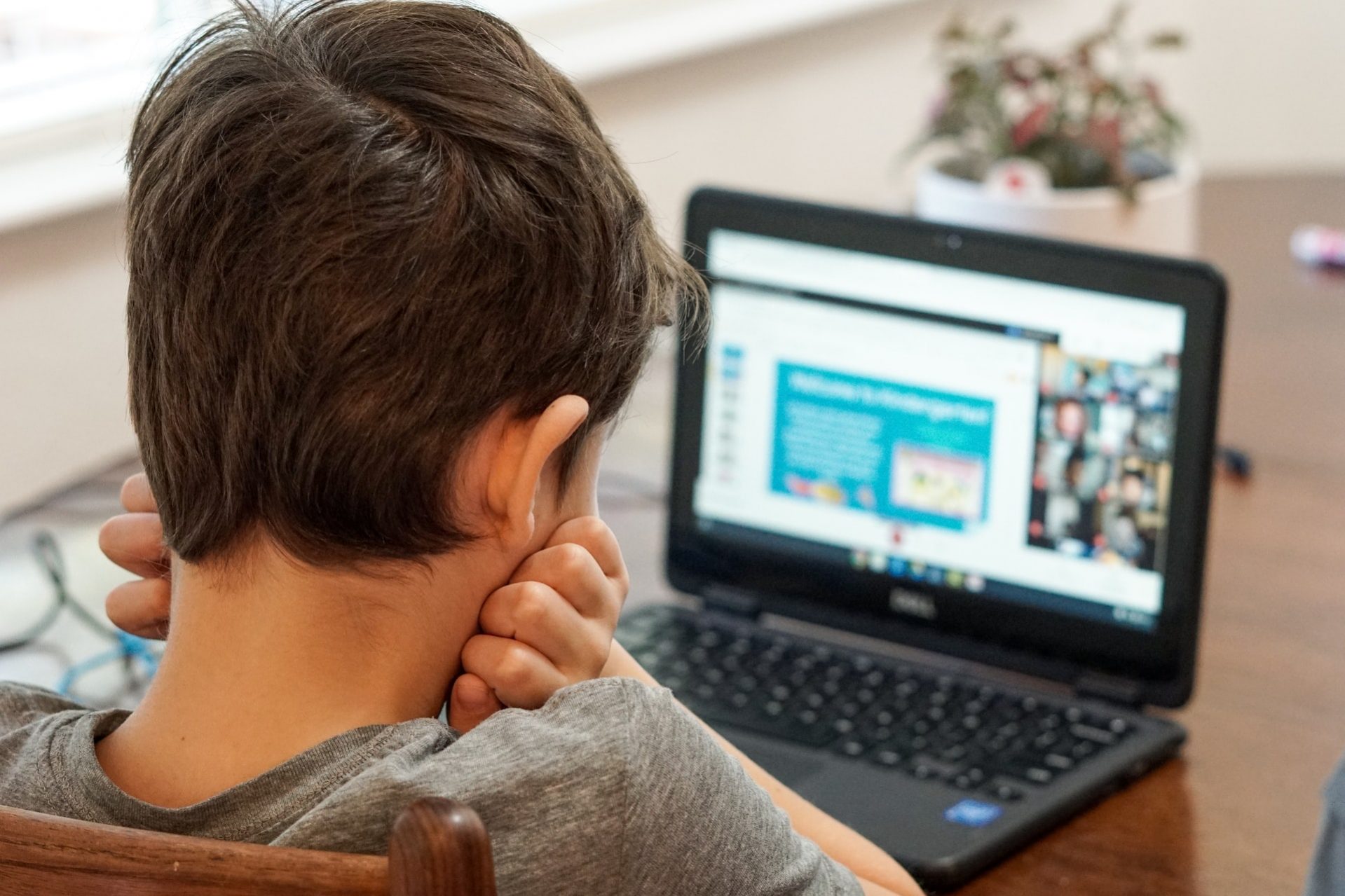 garoto estuda no computador